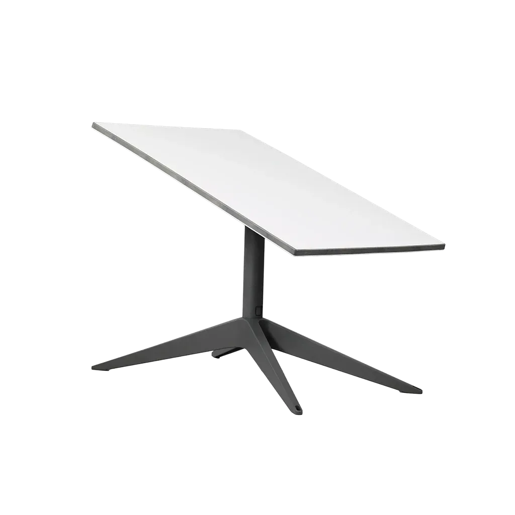 Starlink Standard 4X